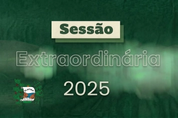 8ª Sessão Extraordinária - 2025