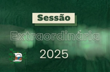 9ª Sessão Extraordinária - 2025