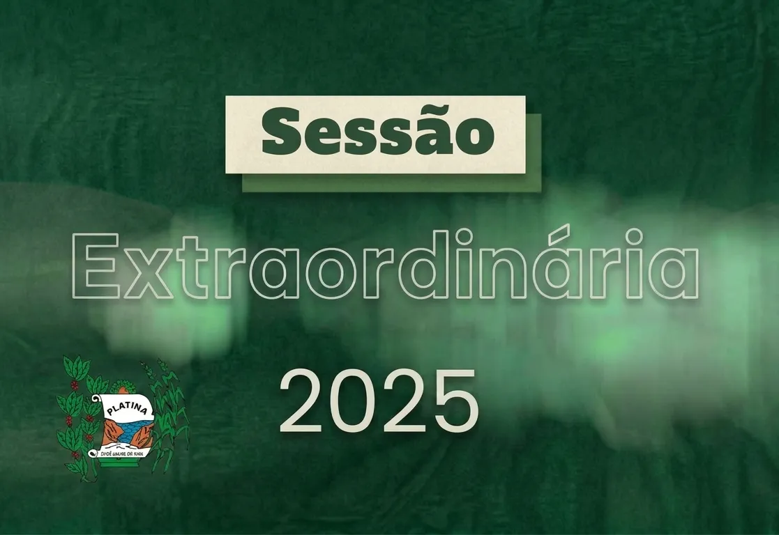 8ª Sessão Extraordinária - 2025