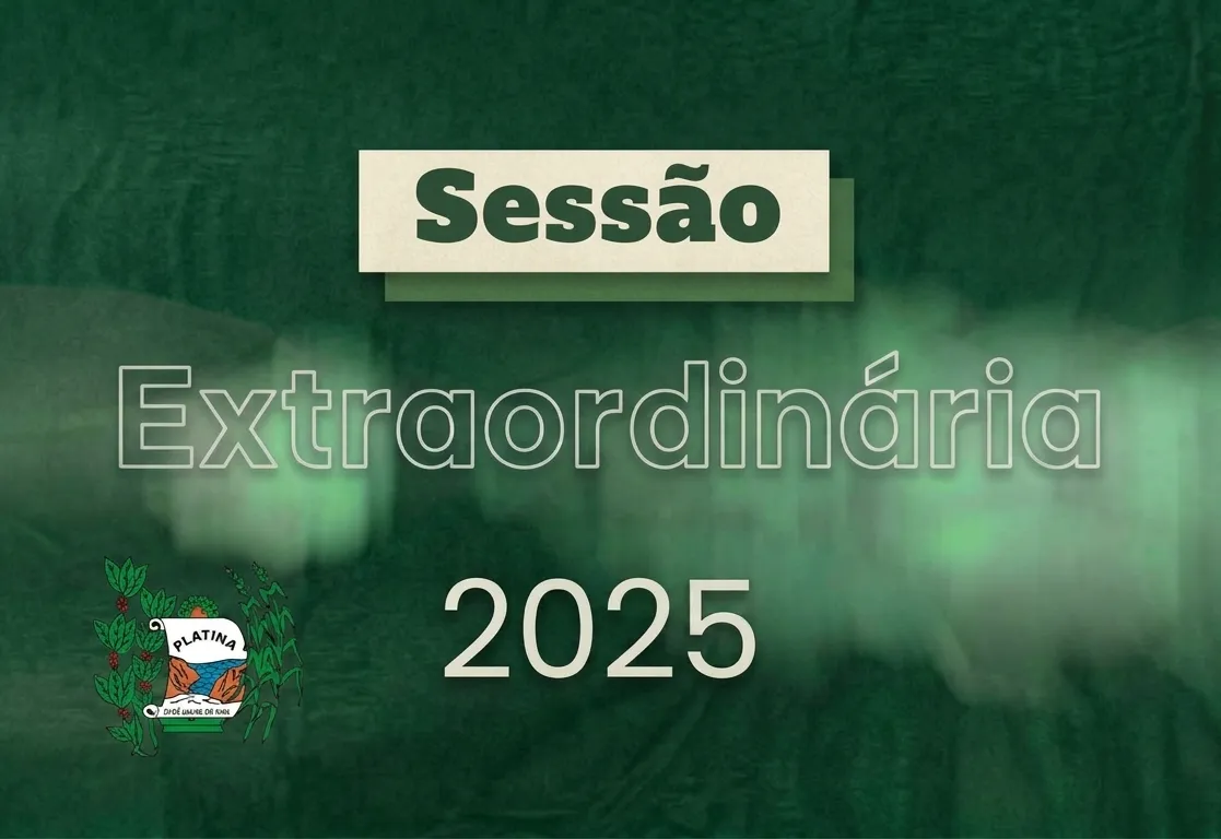 9ª Sessão Extraordinária - 2025